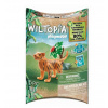 Figurka Playmobil Wiltopia 71067 Mládě tygra