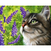 Inna Kreatívna sada na maľovanie podľa čísel - Mačiatko a fialový kvet KTL2164, 30x40 cm, s rámom a štetcami