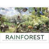 Rainforest - DK, Dorling Kindersley Ltd