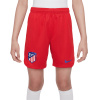 Nike Atlético Madrid domácí 2023/2024 červená/bílá UK Junior M