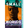Small Worlds