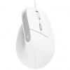 Myš Trust Bayo II Ergonomic Mouse 25397