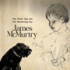 CD James McMurtry - MCMURTRY, JAMES - THE BLACK DOG AND THE WANDERING BOY