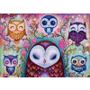 Heye - Puzzle Jeremiah Ketner: Veľké sovy - 1000 dielov
