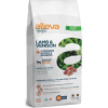 ALLEVA HOLISTIC Dog Dry Adultlamb&Venison Medium/Maxi 12kg