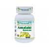 Planet Ayurveda AMALAKI RASAYAN 60 kapsúl - prírodný vitamín C, najbohatší zdroj