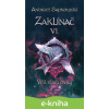 E-kniha Zaklínač VI. : Věž vlaštovky - Andrzej Sapkowski
