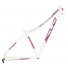 SCUD NAOS 29