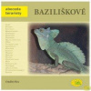 Baziliškové - Abeceda teraristy, Hes Ondřej, 2013