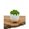 3D mini kvetináč Vajíčko
