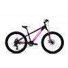 HORSKÝ BICYKEL CAPRIOLO MTB LC 24