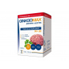 GinkgoMAX Bacopa+Lecitin DaVinci Academia 90+30 tabliet