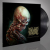 Severe Torture - Torn From The Jaws Of Death / Vinyl [LP]