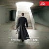 Pavel Šporcl - Bach - Sonáty a partity