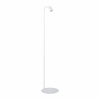 TK Lighting 5484