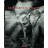 Elephants in Heaven - Joachim Schmeisser, teNeues