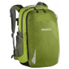 BOLL SMART 24 cedar