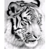 Inna Kreatívna sada na maľovanie podľa čísel - tiger čiernobiely KTL2166, 30x40 cm, s rámom a štetcami