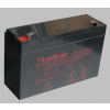akumulátor pre elektropohon Leaftron LTC6-13 T2 (6V/13Ah)