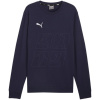 Puma Team Goal Casuals Crew Neck Sweat M 658592 06