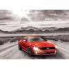 Puzzle Eurographics Puzzle Ford Mustang GT 2015, 1000 dielikov (628136607025)