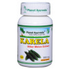 Planet Ayurveda KARELA (Horká tekvička) 60 kapsúl – na podporu liečby diabetu, napomáha kontrolovať úroveň cukru v krvi