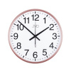 JVD RH684.5 - Rádiem řízené hodiny rose