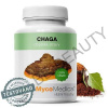 Medicaments Chaga 500 mg 90 kapsúl