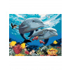 Diamantové maľovanie - DELFÍNY A KORÁLOVÝ ÚTES (HOWARD ROBINSON) Rámovanie: bez rámu a bez vypnutia plátna, Rozmer: 40x50 cm