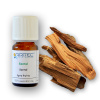 Arttec Santal (Santalum austrocaledonicum), Santal NAT00054