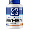 USN (Ultimate Sports Nutrition) USN Bluelab 100% Whey Premium Protein 2000 g - vanilka + USN Šejkr Steel Qhush 750 ml ZADARMO