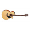 Takamine GN15CE, Rosewood Fingerboard - Natural