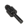 R2Invest Karaoke mikrofón WS-858 BLACK