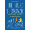 Third Chimpanzee