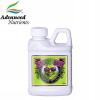 Hnojivo - Advanced Nutrients Big Bud 250ml Flowering Boost (Hnojivo - Advanced Nutrients Big Bud 250ml Flowering Boost)