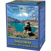 Everest Ayurveda Dalchini – dýchacie cesty & nosové dutiny, sypaný čaj, 100g