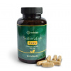 SULFORAFAN extra - extrakt z brokolice 500 mg 60 kaps. HERBATICA