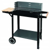 Master Grill Gril na drevené uhlie 49 x 27 cm (Obdĺžnikový gril MasterGrill&Party MG909)