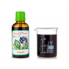 Aronie BIO - bylinné kapky (tinktura) - doplěk stravy 50 ml