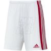 Trenky adidas Squadra 21 Short M GN5770