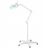Kozmetická podlahová lampa Physa PHY-6ML-2 10 W biela