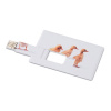 USB v tvare karty 4GB , white Farba: white