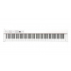 KORG D1-WH