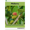 Mulberry