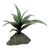 Lucky Reptile-Sukulenty Agave malé, cca 10 cm