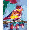 ZUTY Maľovanie podľa čísel - FAREBNÝ VTÁČIK NA KONÁRI Rámovanie: vypnuté plátno na rám, Rozmer: 40x50 cm