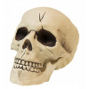LEBKA KOSTRY S POHYBLIVOU ČEĽUSŤOU 21 CM HALLOWEENSKA
