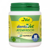 cdVet DentaVet Osviežovač dychu 100 kapsúl (viaže pachy vďaka chlorofylu - s morskou riasou, petržlenom, šalviou)