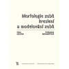 Morfologie zubů. Kreslení a modelování zubů - Květoslava Monhartová, Hecová Hana