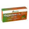 Naturica Magnezium 250 mg B 6 ginkgo Vitamín E 30 tabliet 30 tabliet